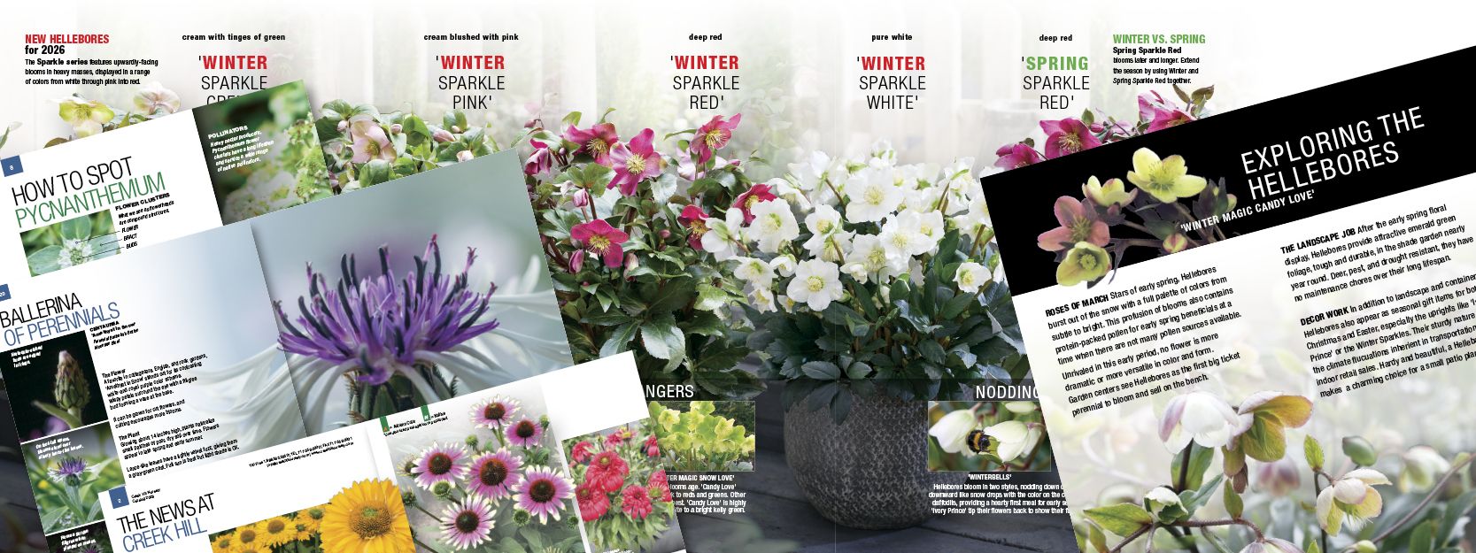 Catalog Articles